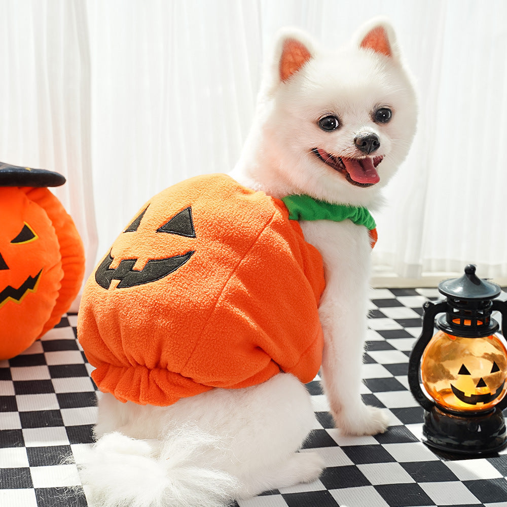 Halloween Pumpkin Costume for Dogs & Cats - Funny Two-Legged Pet Outfit with Adjustable Straps, Orange & Black Design, Soft Polyester Knit, Perfect for Halloween & Christmas Celebrations, Halloween Costumes for Pets, Playful Pet Design, Comfortable Pet We