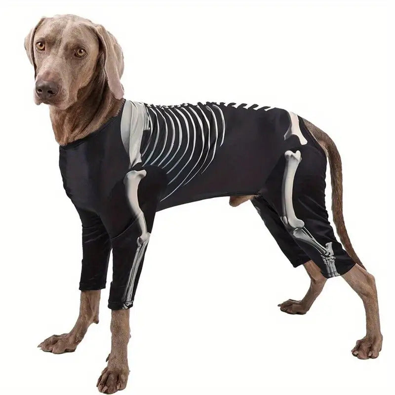 Spooky Skeleton Dog Costume - Full Skeleton Outfit Halloween Pet Costume with Easy Pants, for Small to Medium Dogs (XL/2XL/3XL) - Soft Stretchy Polyester for Halloween Parties, Photo Shoots & Casual Attire - Cute Pet Cosplay Outfit, Halloween Clothes, The