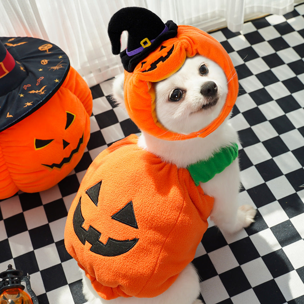 Halloween Pumpkin Costume for Dogs & Cats - Funny Two-Legged Pet Outfit with Adjustable Straps, Orange & Black Design, Soft Polyester Knit, Perfect for Halloween & Christmas Celebrations, Halloween Costumes for Pets, Playful Pet Design, Comfortable Pet We
