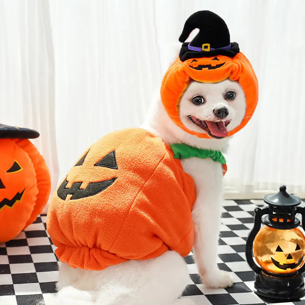 Halloween Pumpkin Costume for Dogs & Cats - Funny Two-Legged Pet Outfit with Adjustable Straps, Orange & Black Design, Soft Polyester Knit, Perfect for Halloween & Christmas Celebrations, Halloween Costumes for Pets, Playful Pet Design, Comfortable Pet We