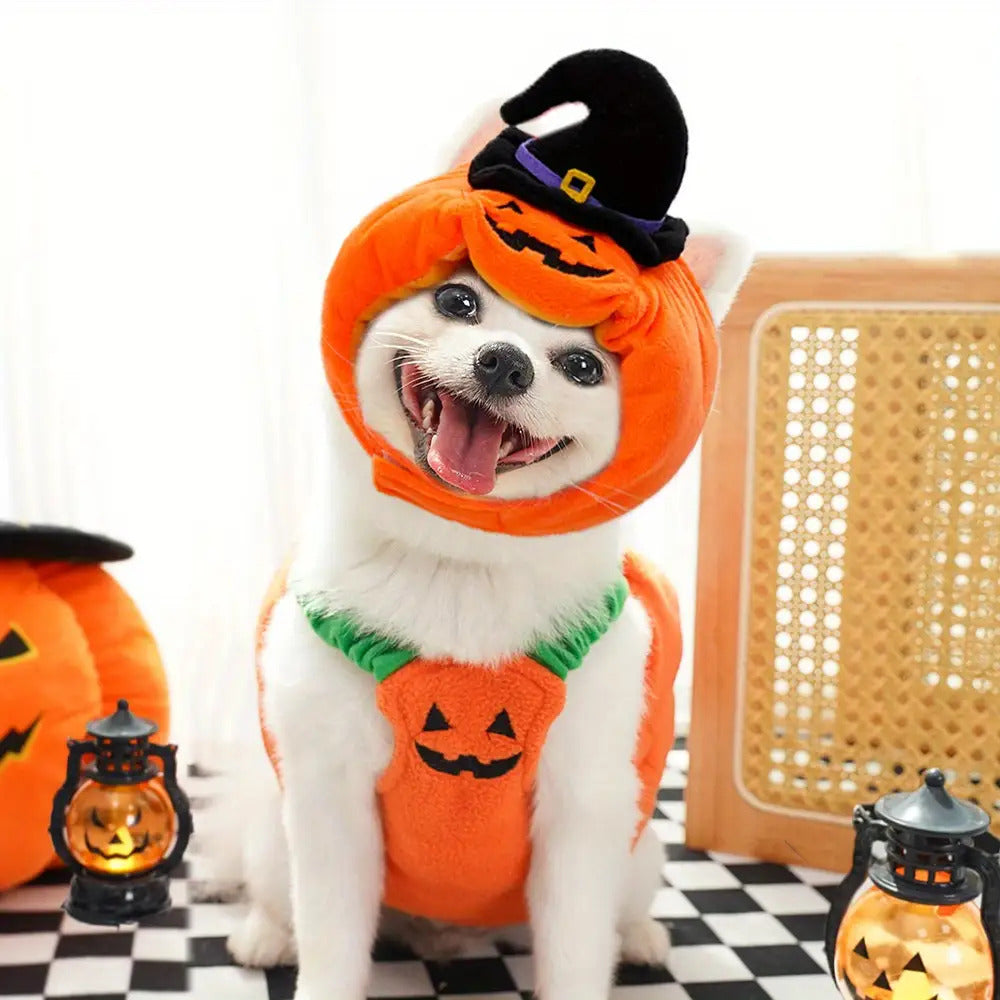 Halloween Pumpkin Costume for Dogs & Cats - Funny Two-Legged Pet Outfit with Adjustable Straps, Orange & Black Design, Soft Polyester Knit, Perfect for Halloween & Christmas Celebrations, Halloween Costumes for Pets, Playful Pet Design, Comfortable Pet We