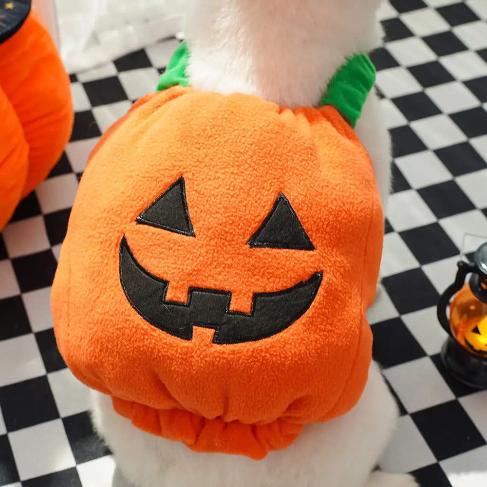 Halloween Pumpkin Costume for Dogs & Cats - Funny Two-Legged Pet Outfit with Adjustable Straps, Orange & Black Design, Soft Polyester Knit, Perfect for Halloween & Christmas Celebrations, Halloween Costumes for Pets, Playful Pet Design, Comfortable Pet We