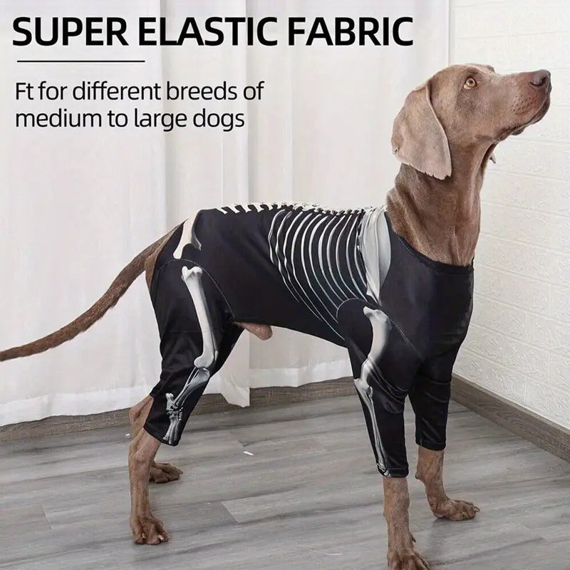 Spooky Skeleton Dog Costume - Full Skeleton Outfit Halloween Pet Costume with Easy Pants, for Small to Medium Dogs (XL/2XL/3XL) - Soft Stretchy Polyester for Halloween Parties, Photo Shoots & Casual Attire - Cute Pet Cosplay Outfit, Halloween Clothes, The