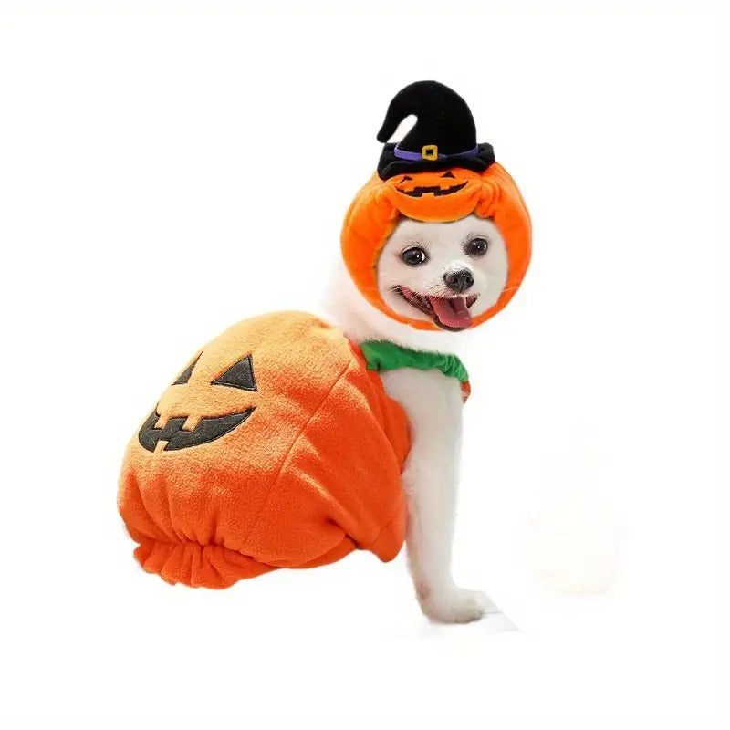 Halloween Pumpkin Costume for Dogs & Cats - Funny Two-Legged Pet Outfit with Adjustable Straps, Orange & Black Design, Soft Polyester Knit, Perfect for Halloween & Christmas Celebrations, Halloween Costumes for Pets, Playful Pet Design, Comfortable Pet We