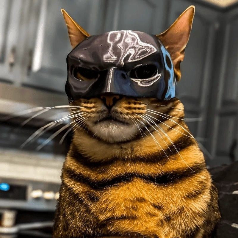 Cat Mask Cosplay, Cat Cosplay Hat, Cat Mask for Halloween Cosplay, Funny Cat Costumes Accessories