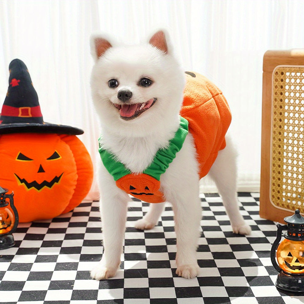 Halloween Pumpkin Costume for Dogs & Cats - Funny Two-Legged Pet Outfit with Adjustable Straps, Orange & Black Design, Soft Polyester Knit, Perfect for Halloween & Christmas Celebrations, Halloween Costumes for Pets, Playful Pet Design, Comfortable Pet We