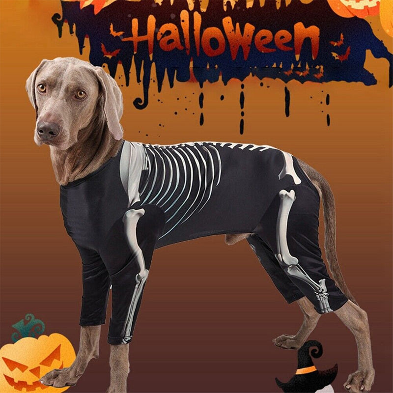 Spooky Skeleton Dog Costume - Full Skeleton Outfit Halloween Pet Costume with Easy Pants, for Small to Medium Dogs (XL/2XL/3XL) - Soft Stretchy Polyester for Halloween Parties, Photo Shoots & Casual Attire - Cute Pet Cosplay Outfit, Halloween Clothes, The