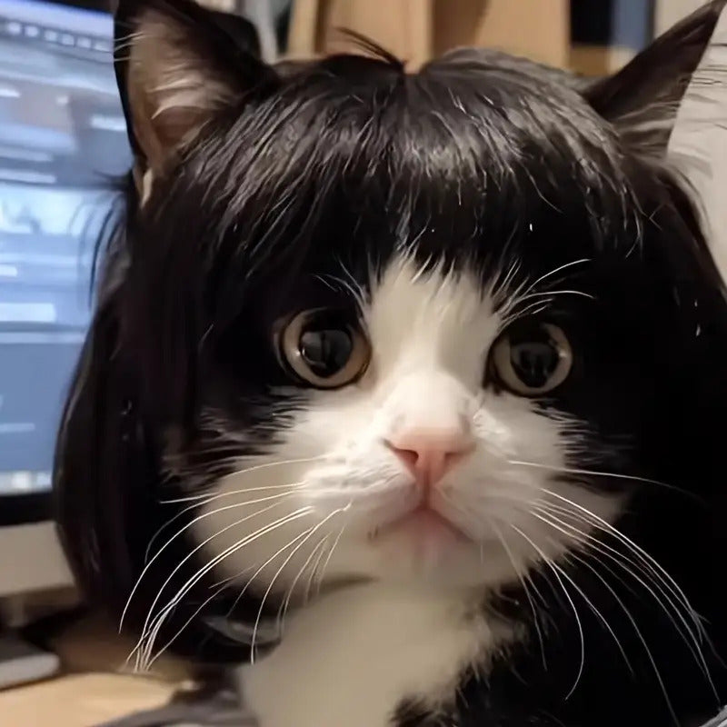 Clip-On Cat Wig - Soft Polyester Fiber Pet Costume with Black & White Striped Design, Easy to Use & Comfortable Fashionable Cat Dress Up for Parties, Photography, Cosplay - Durable Material, Exclusive for Cat Lovers, Cat Costume, Party Accessory, Playful