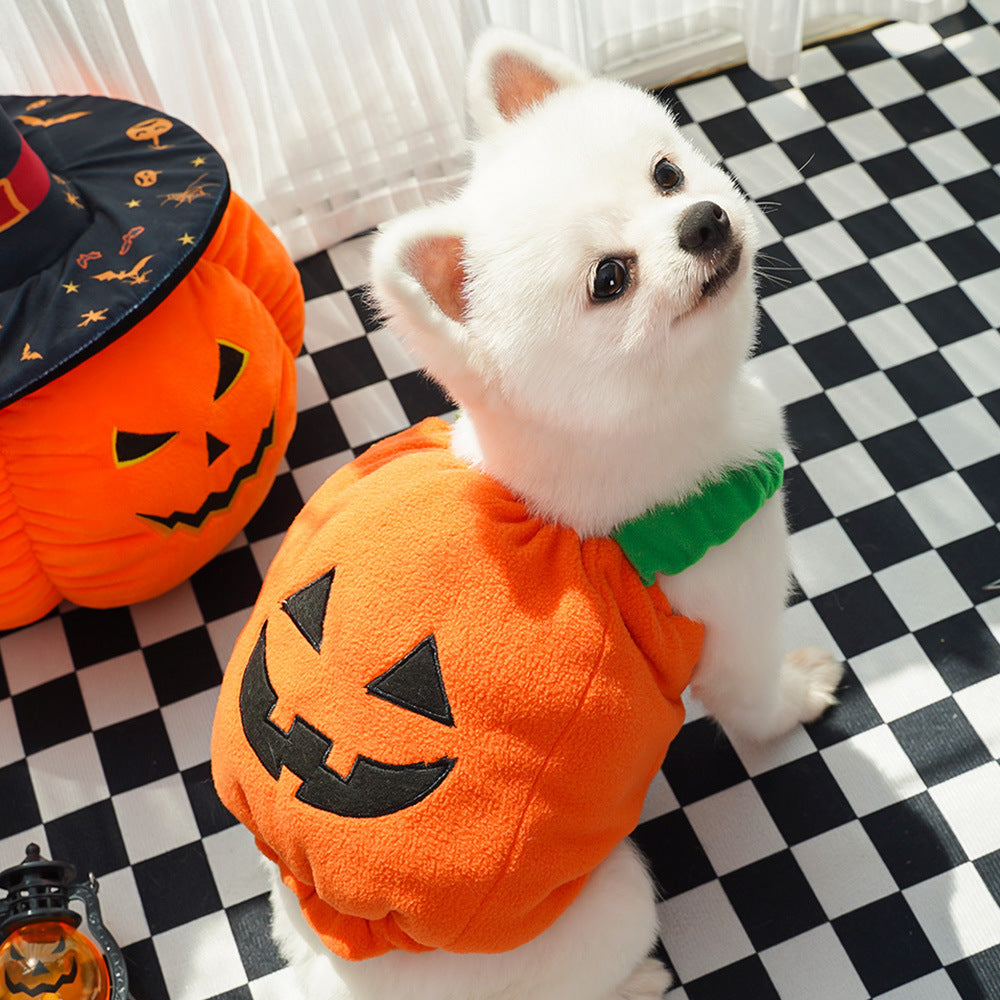 Halloween Pumpkin Costume for Dogs & Cats - Funny Two-Legged Pet Outfit with Adjustable Straps, Orange & Black Design, Soft Polyester Knit, Perfect for Halloween & Christmas Celebrations, Halloween Costumes for Pets, Playful Pet Design, Comfortable Pet We